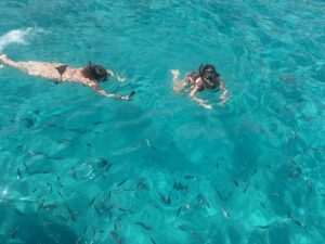 jut a milion fishes
